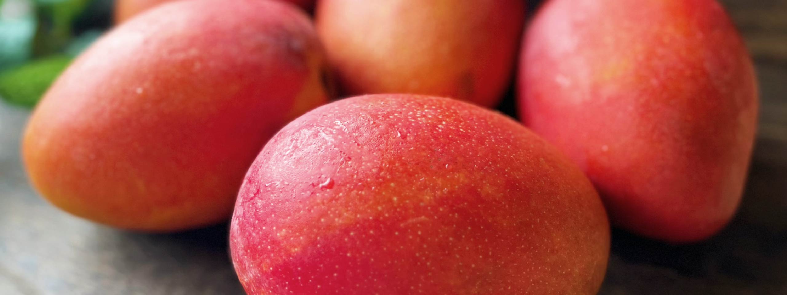 サラダイメージ