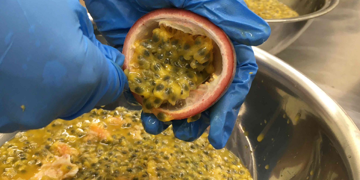 パッションフルーツ加工作業写真